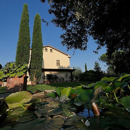 Agriturismo Le Vallette 毕博纳 外观 照片