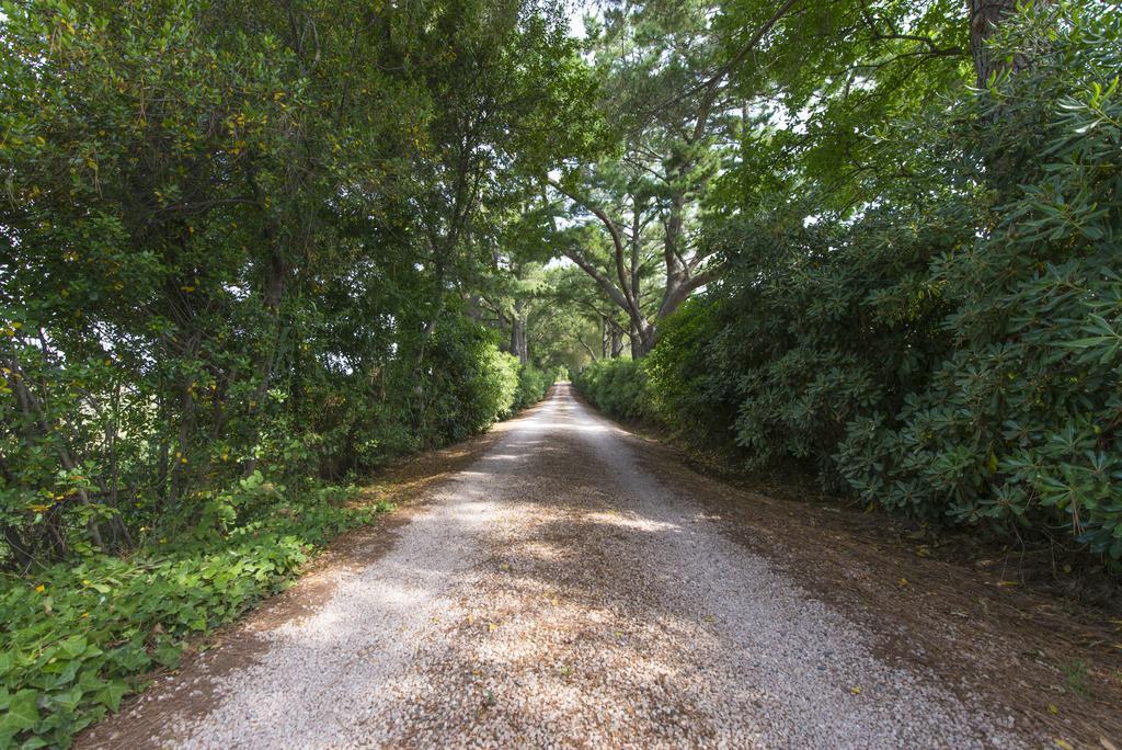 Agriturismo Le Vallette 毕博纳 外观 照片