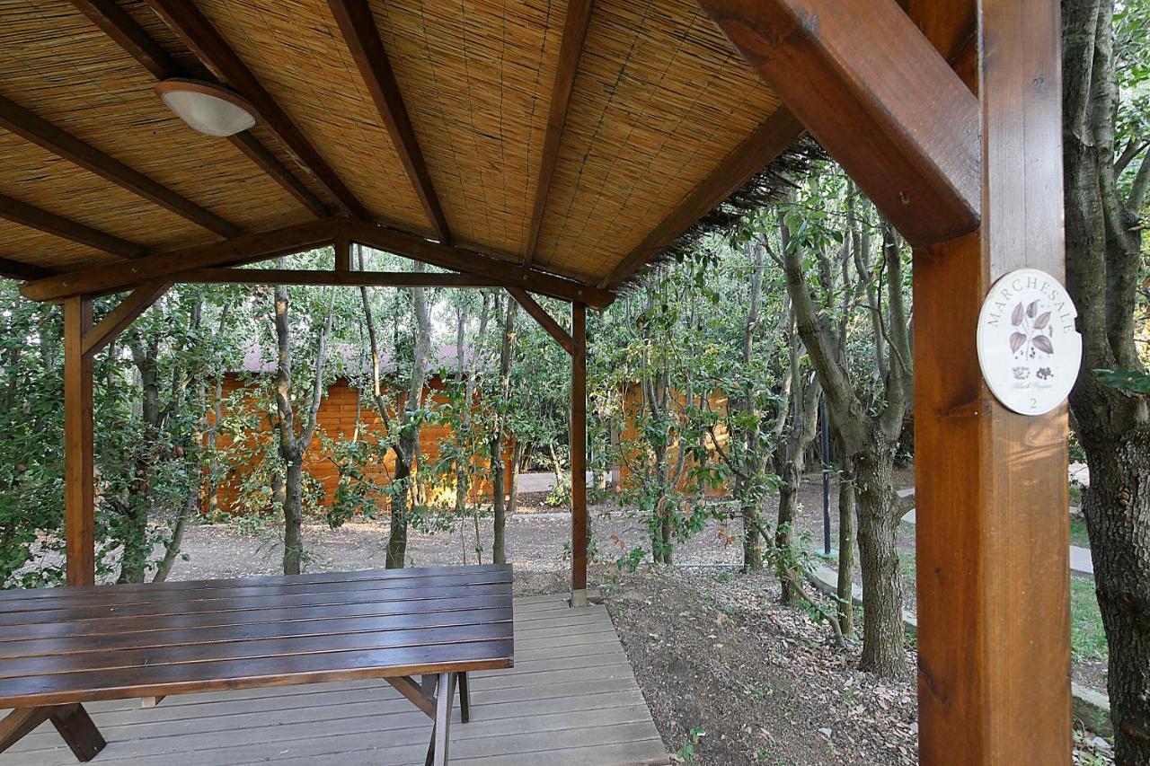 Agriturismo Le Vallette 毕博纳 外观 照片