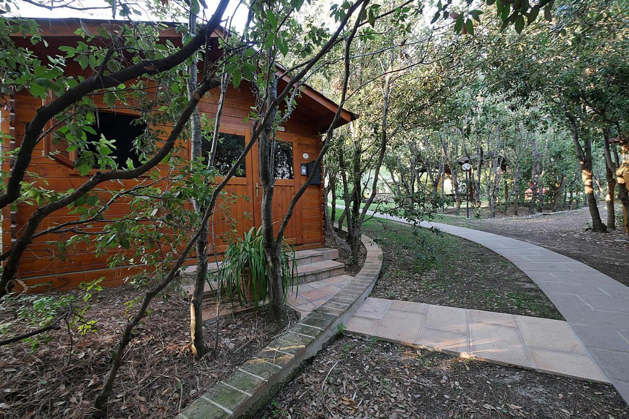 Agriturismo Le Vallette 毕博纳 外观 照片