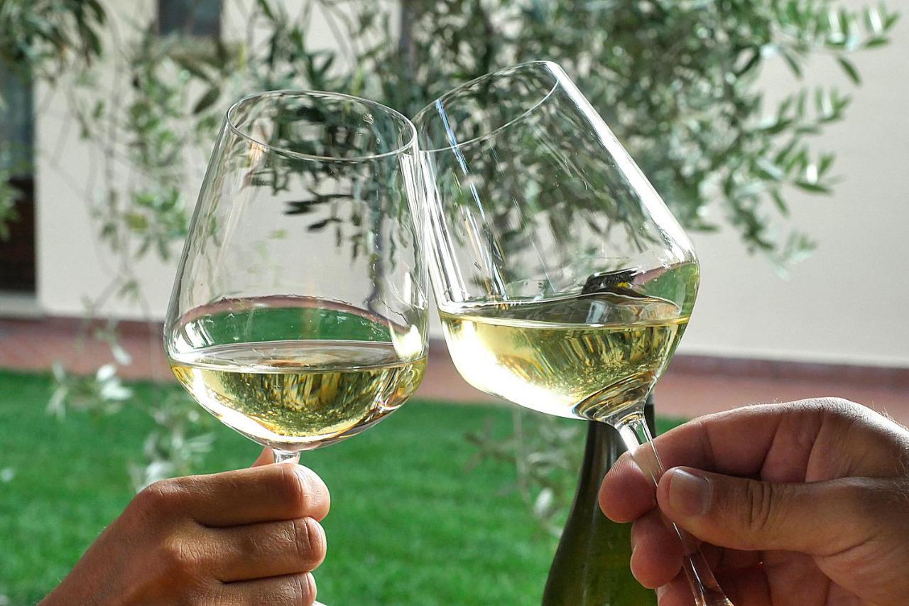 Agriturismo Le Vallette 毕博纳 外观 照片